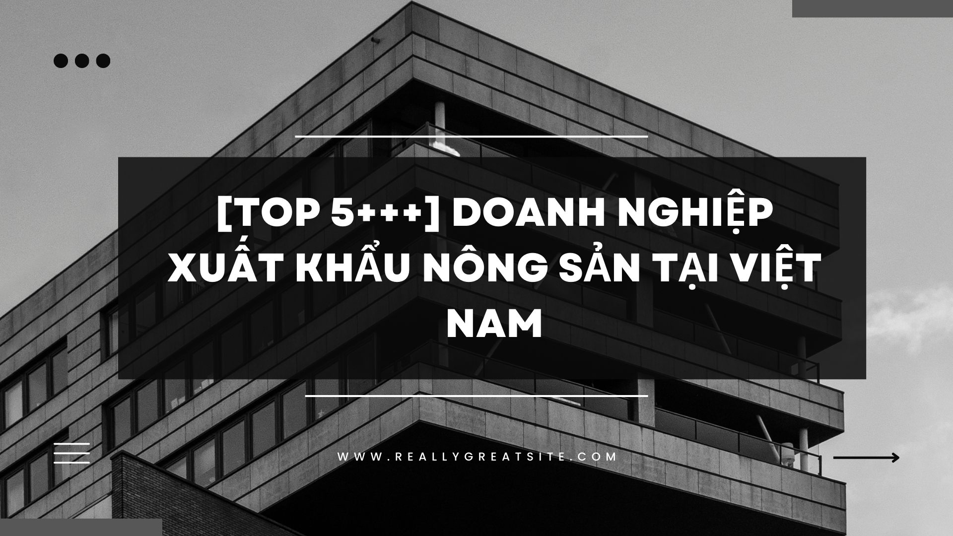 [TOP 5++] Doanh nghiệp xuất khẩu nông sản tại Việt Nam