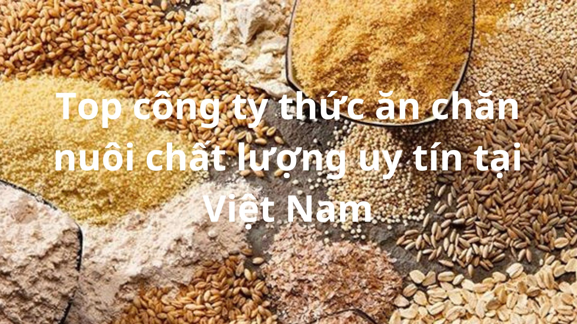Top công ty thức ăn chăn nuôi chất lượng uy tín tại Việt Nam