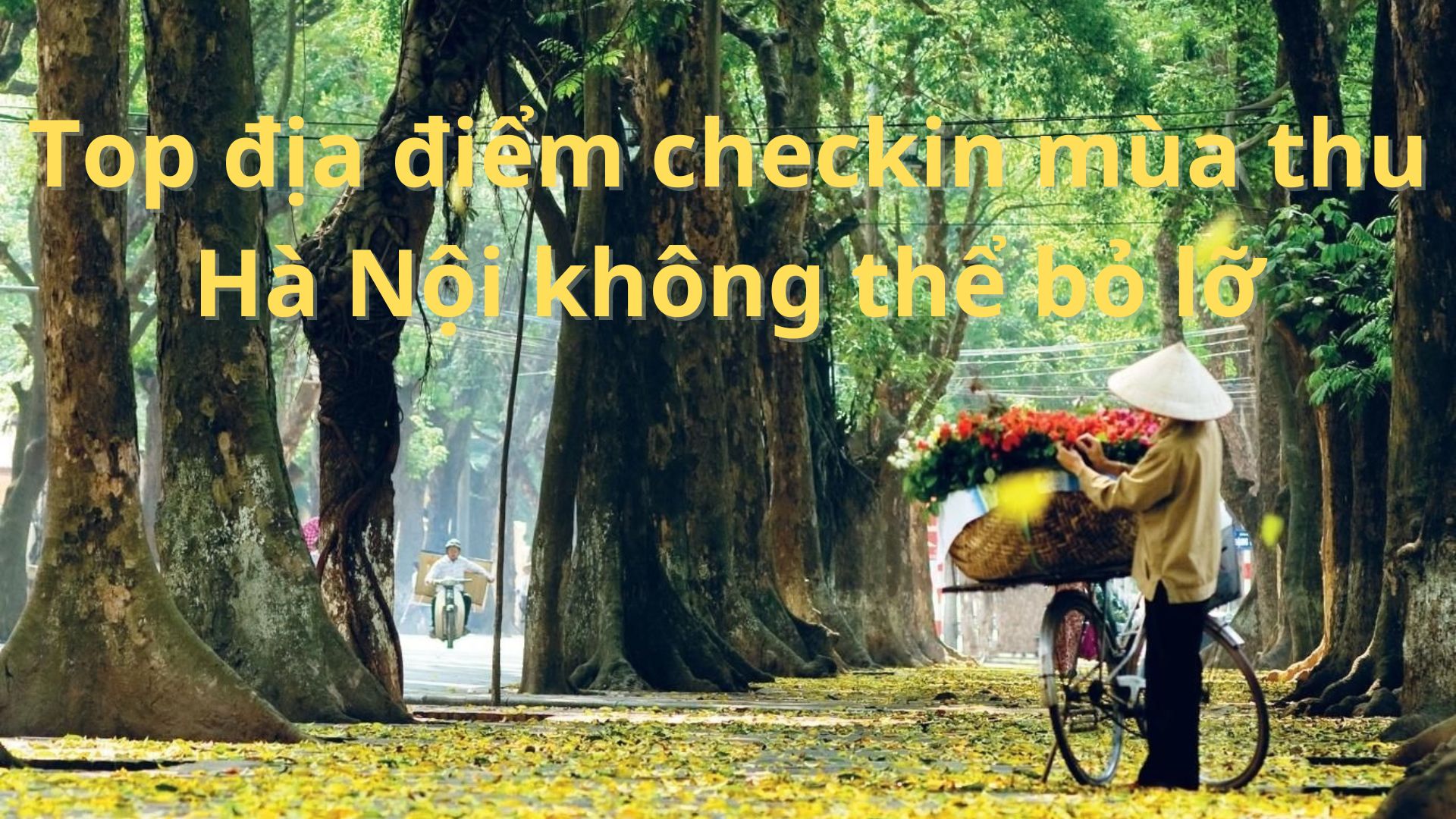 Top địa điểm checkin mùa thu Hà Nội không thể bỏ lỡ